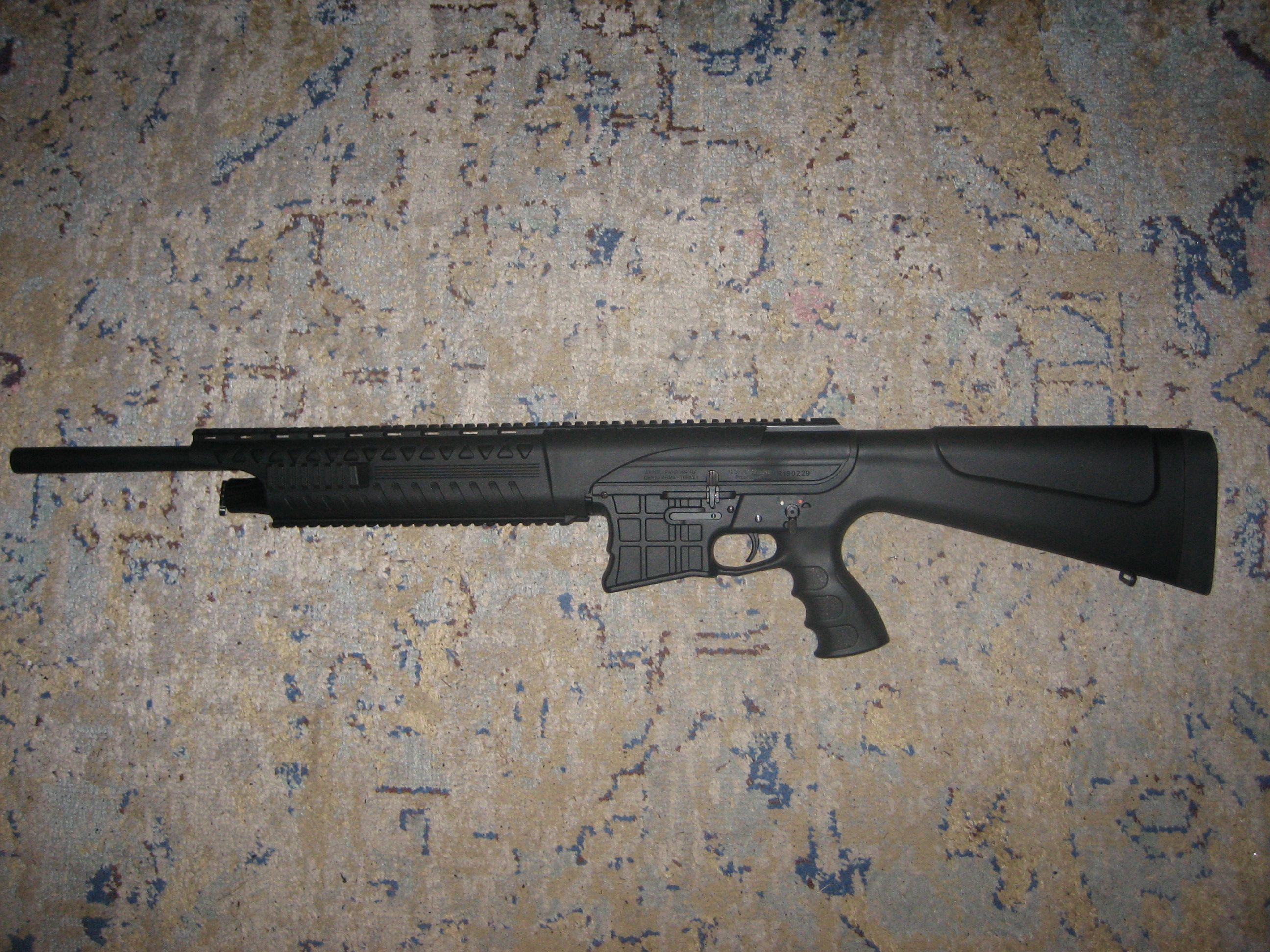 RIA 12ga 2.JPG
