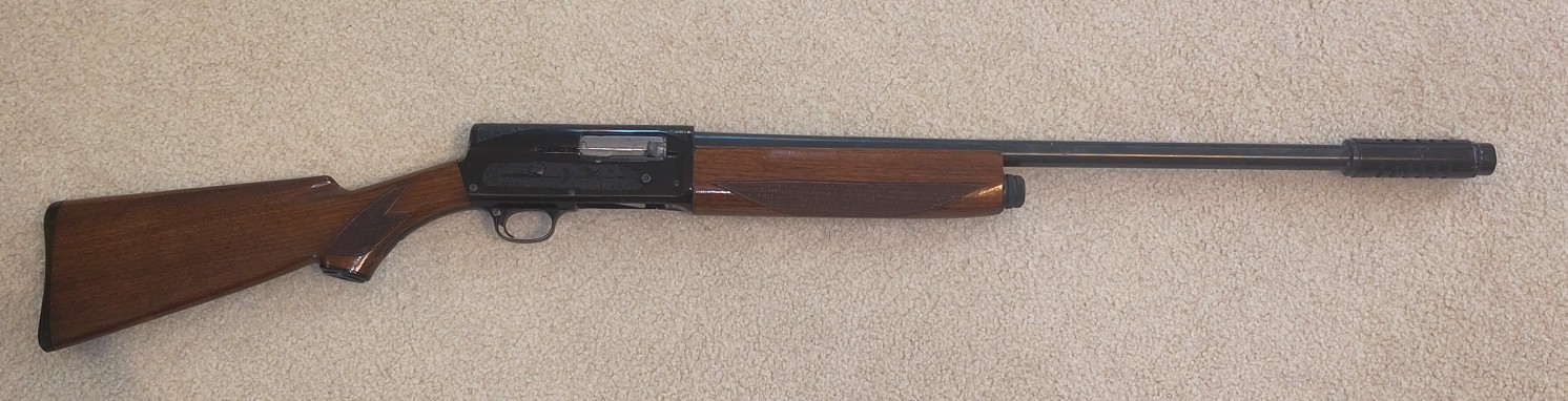 shotgun crop.jpg