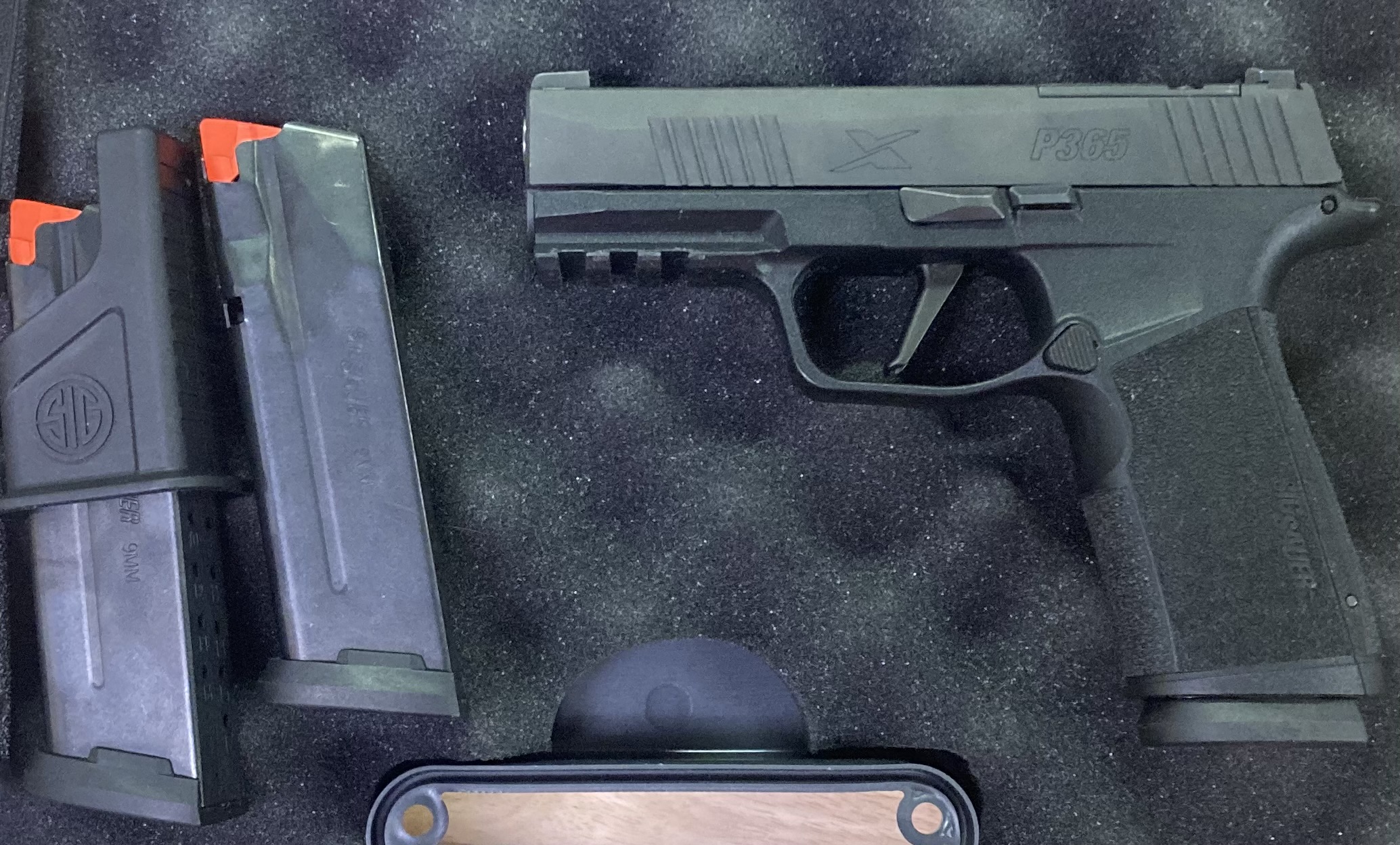 P365x.jpg