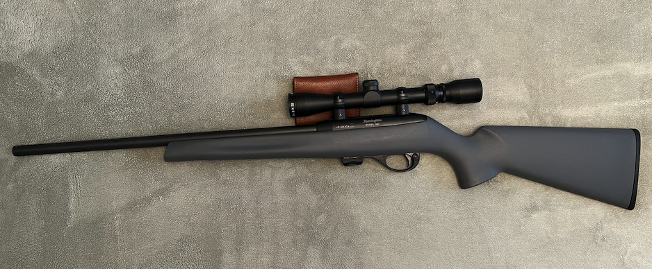 Remington 597 2.png