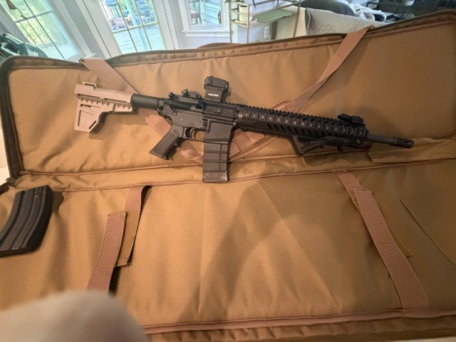 AR with Holosun.jpg