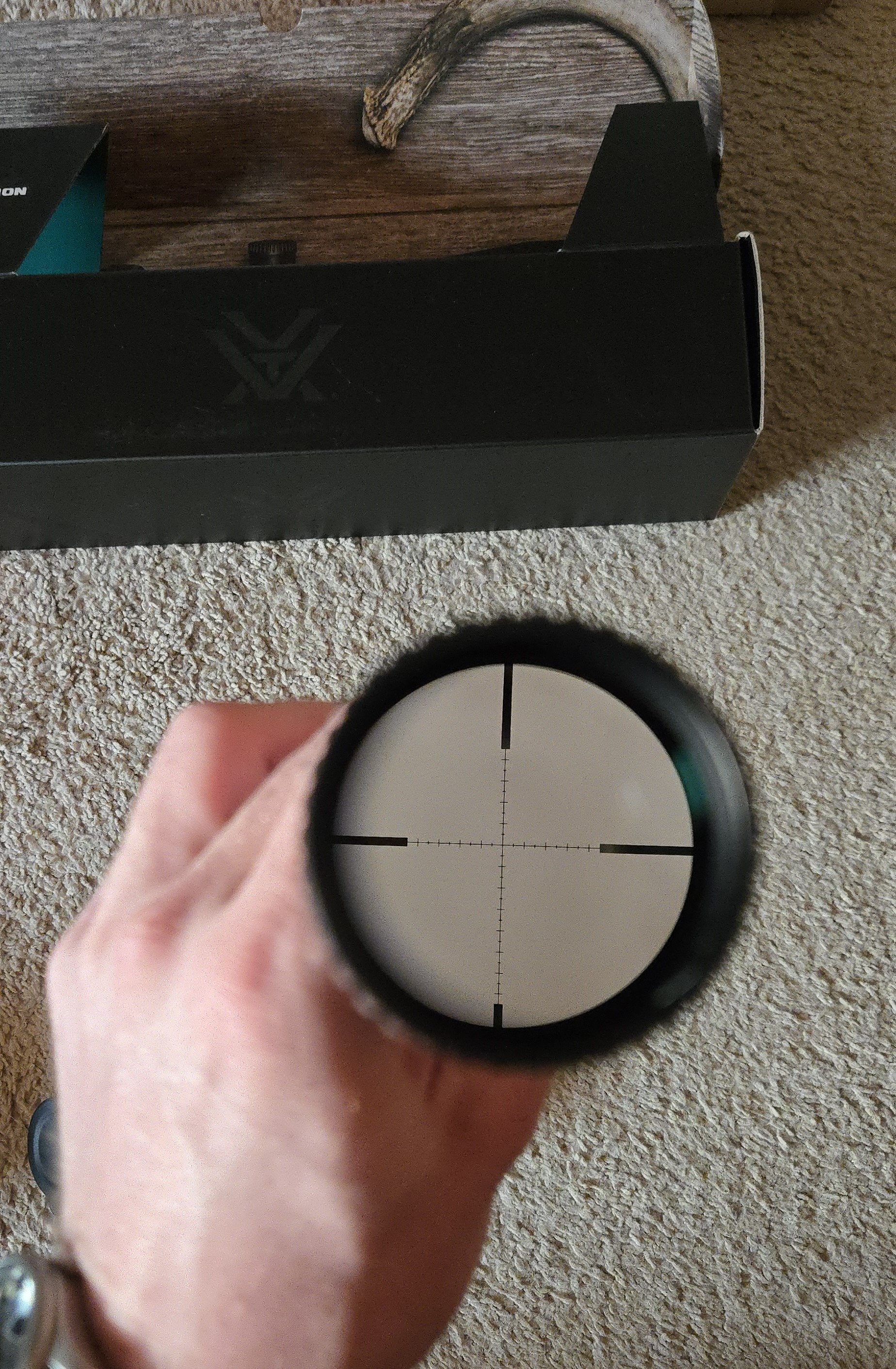 1000015978.jpg