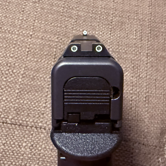 IMG_4891 Medium.png