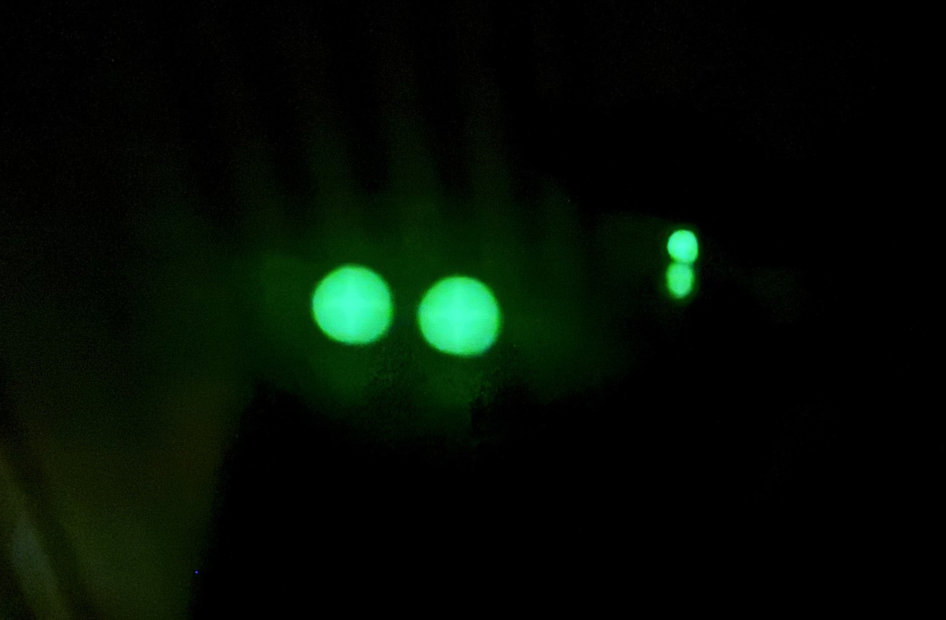 night site.jpg