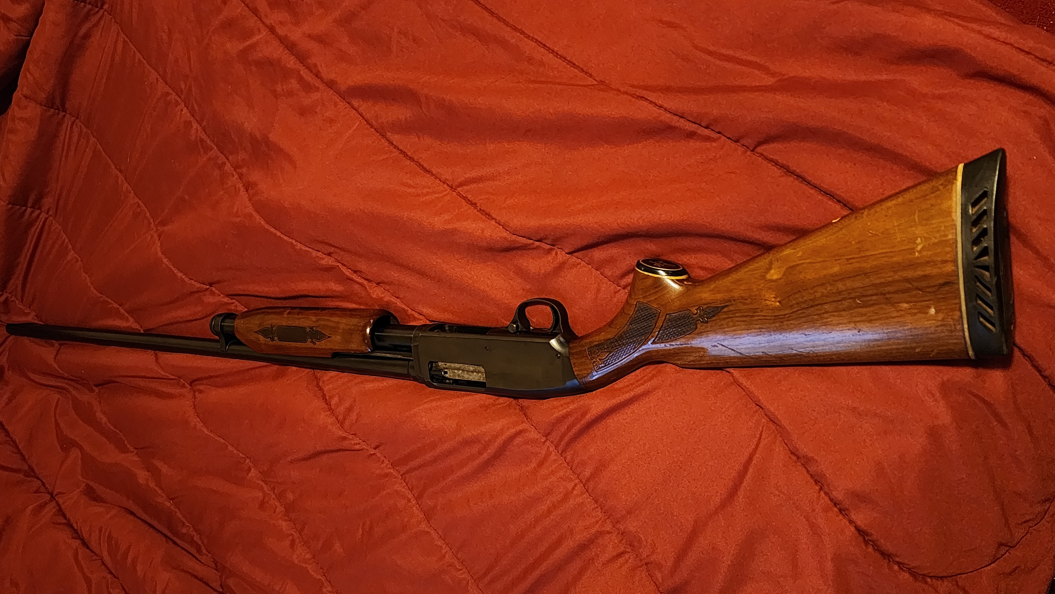20230808_194820.jpg