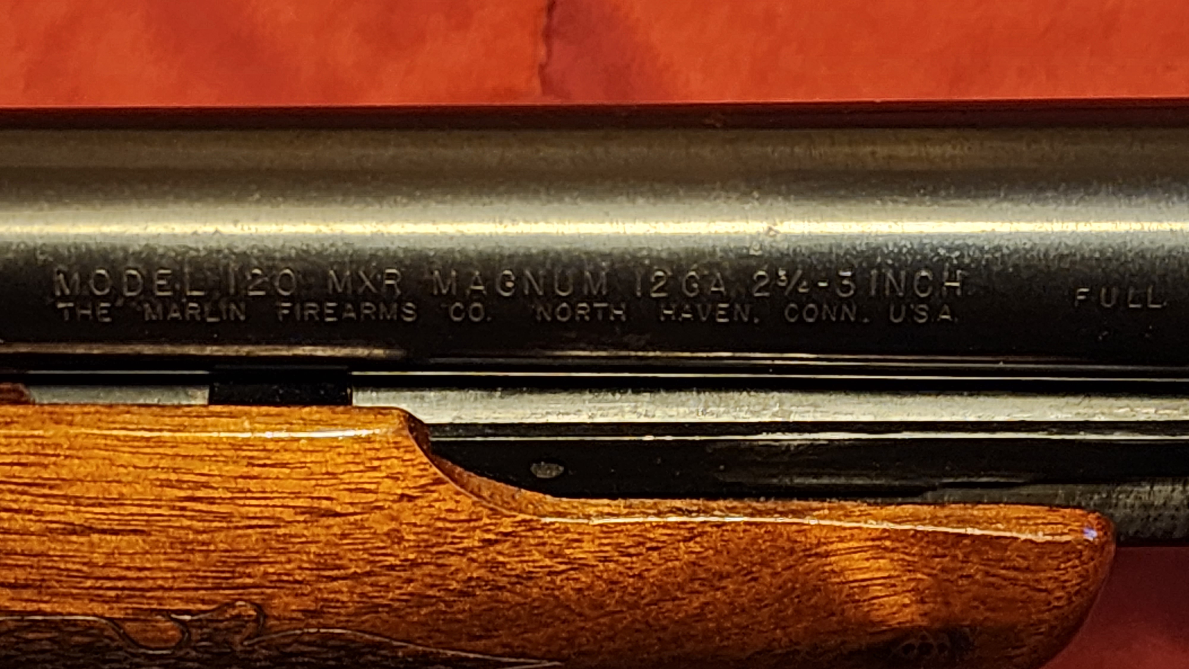 20230808_195017.jpg
