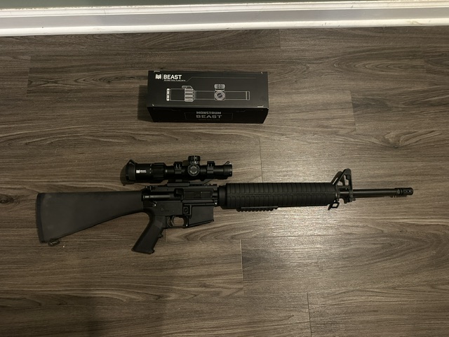 rilfe and scope.JPG