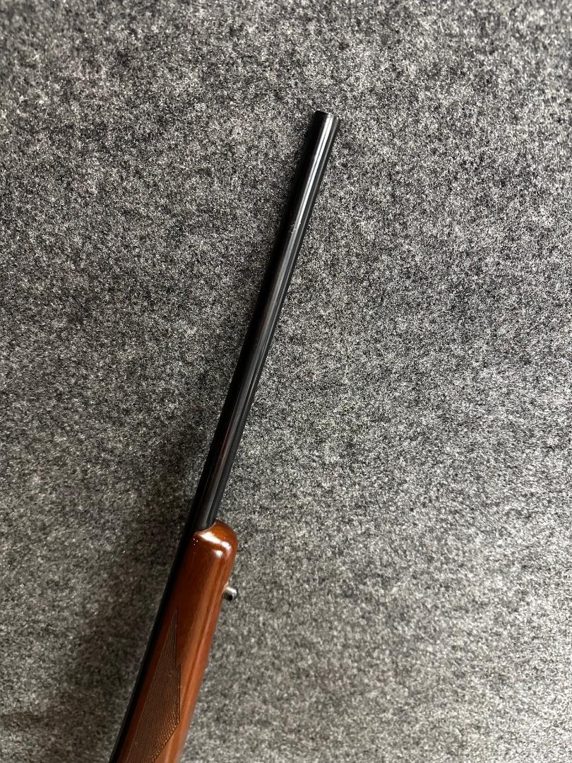 horn 3.jpg