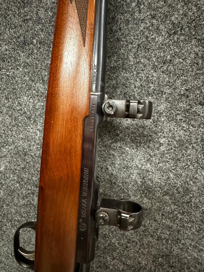 horn 4.jpg