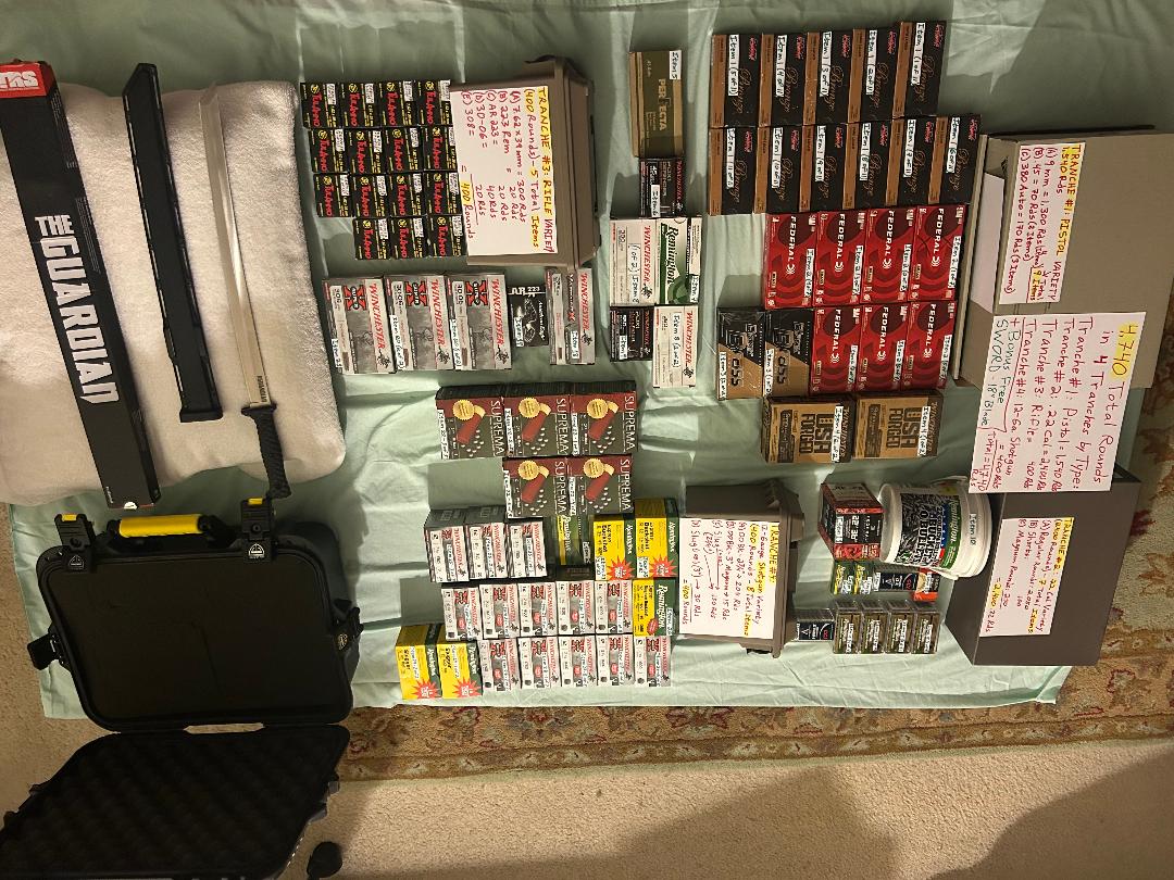 Corrected Ammo Shot.jpg