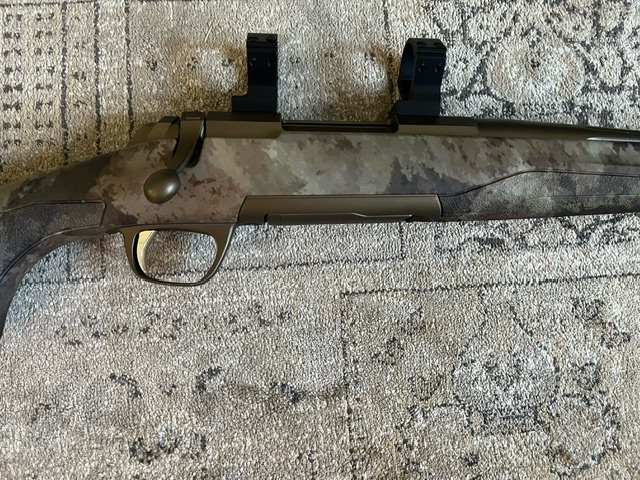 image1 (41).png