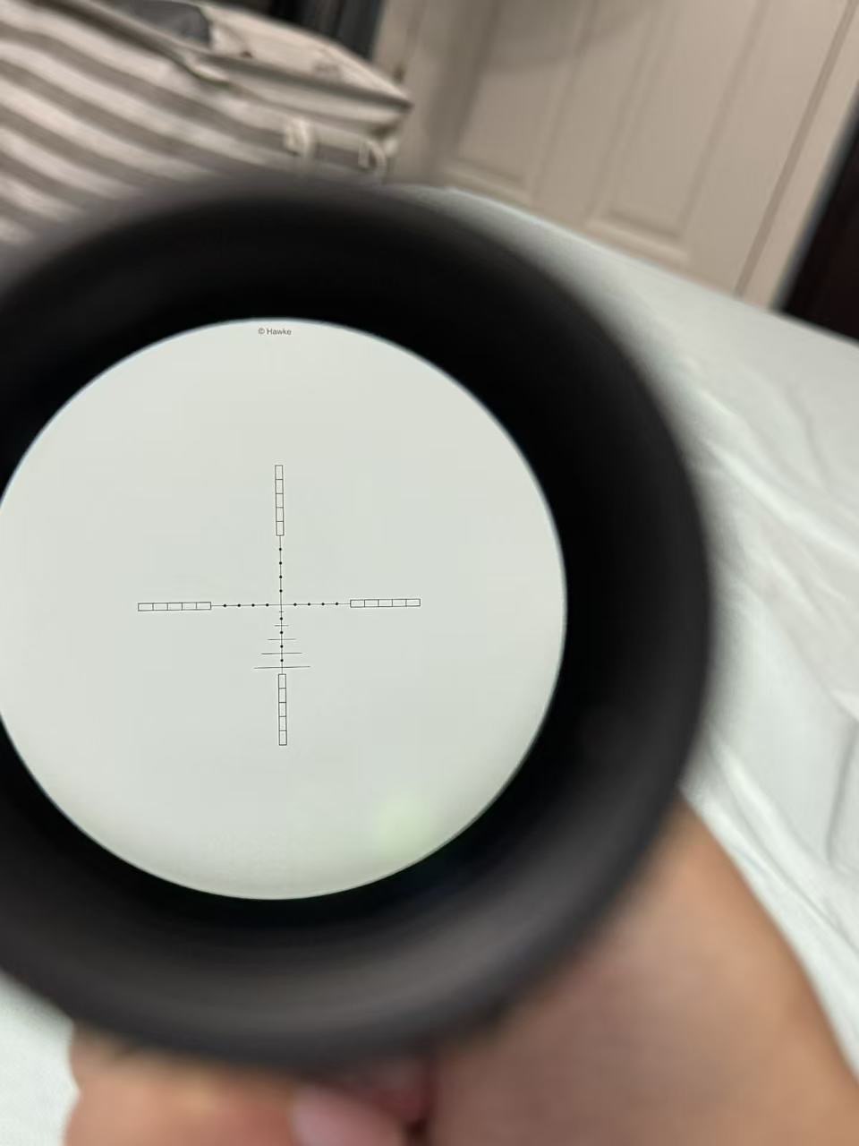241.jpg