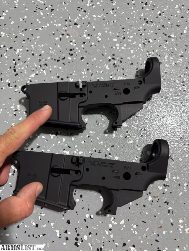 16136086_01_psa_ar_lower_receiver_640.jpg