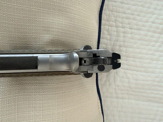 Dan Wesson rear sight.gif