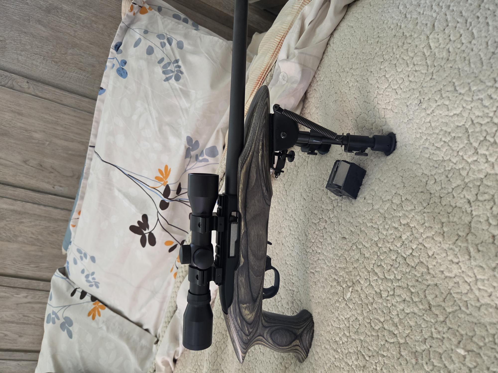 ruger.charger.jpg