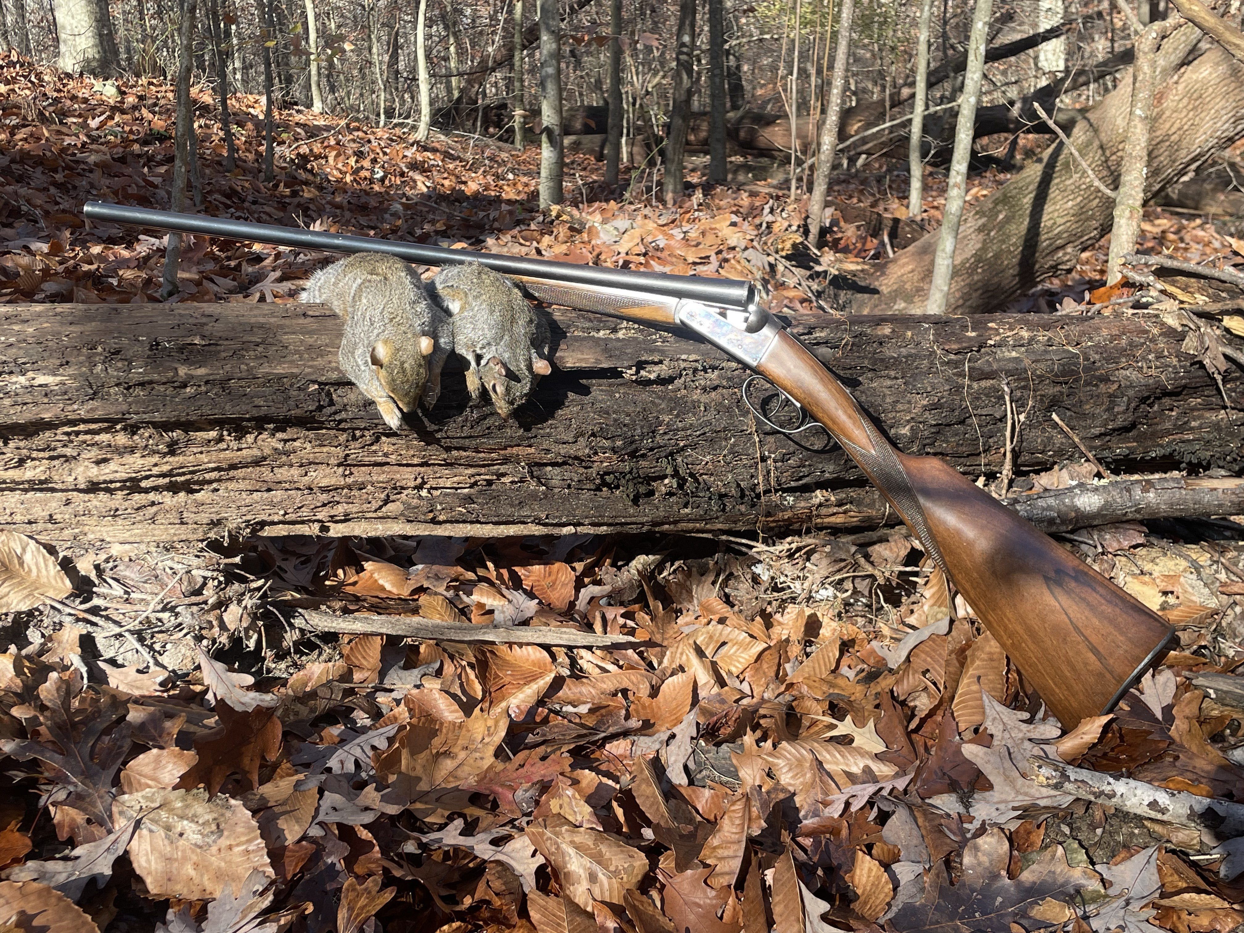 squirrel_gun_upload.jpg