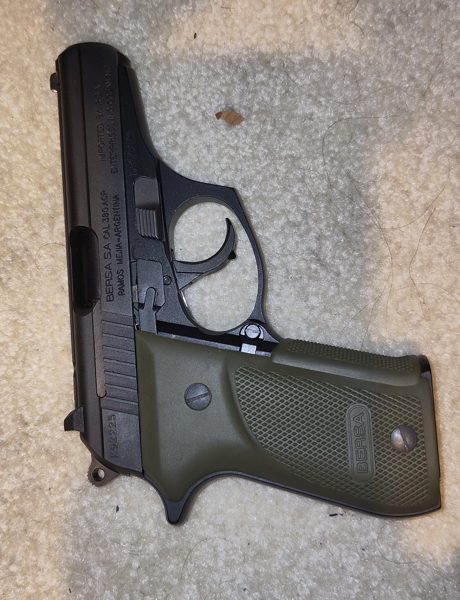 Bersa 1 Crop.png