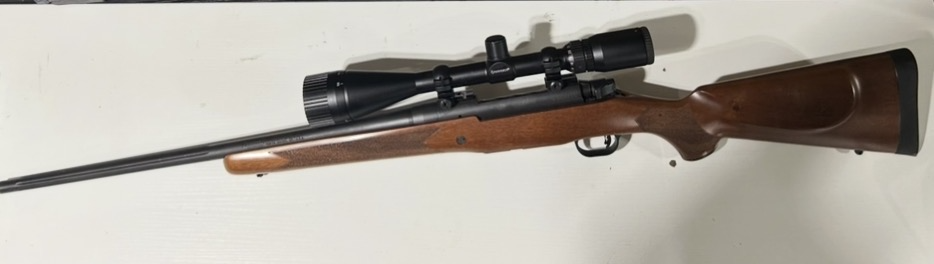 image1.png