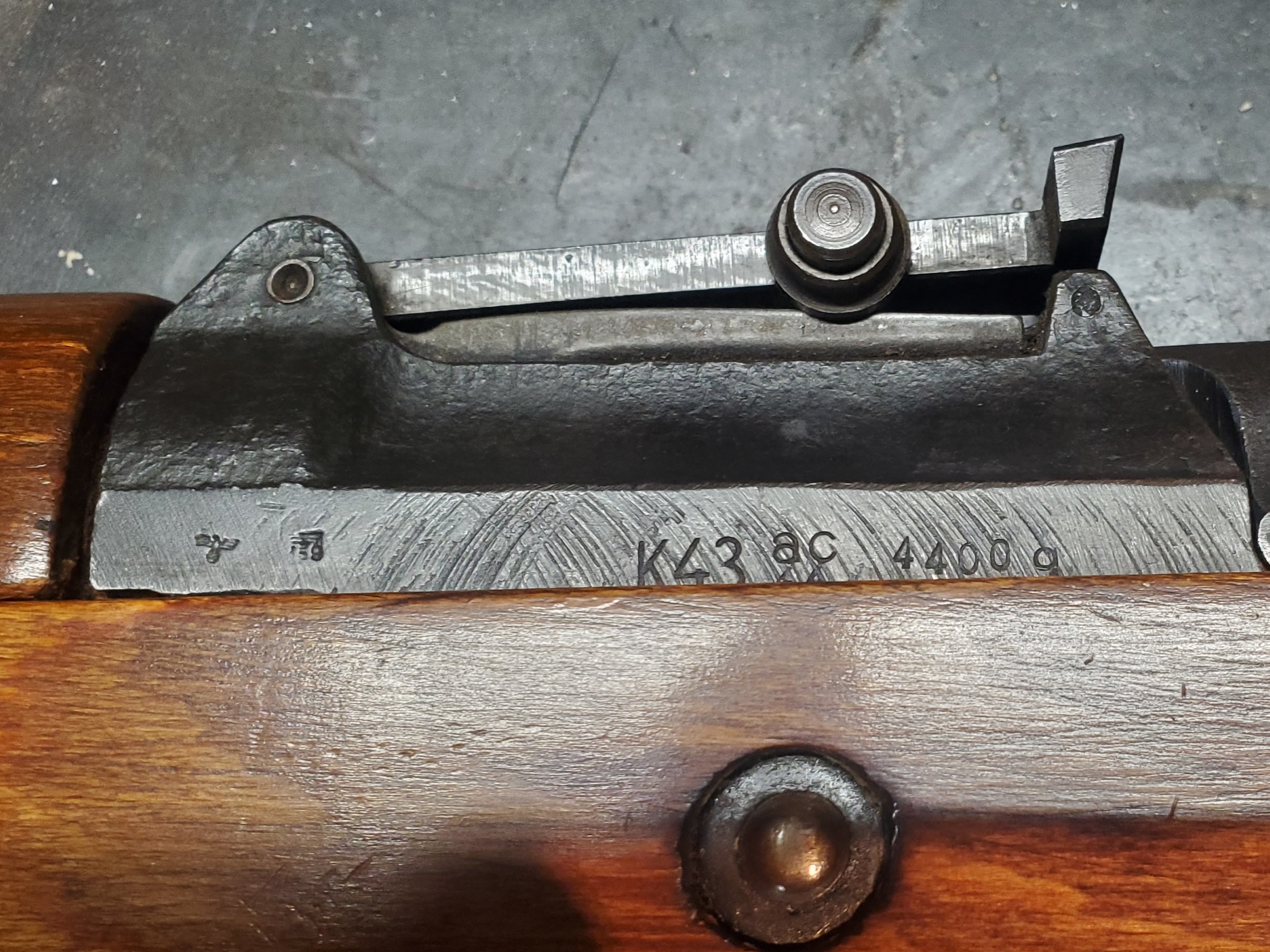 Markings 1.jpg