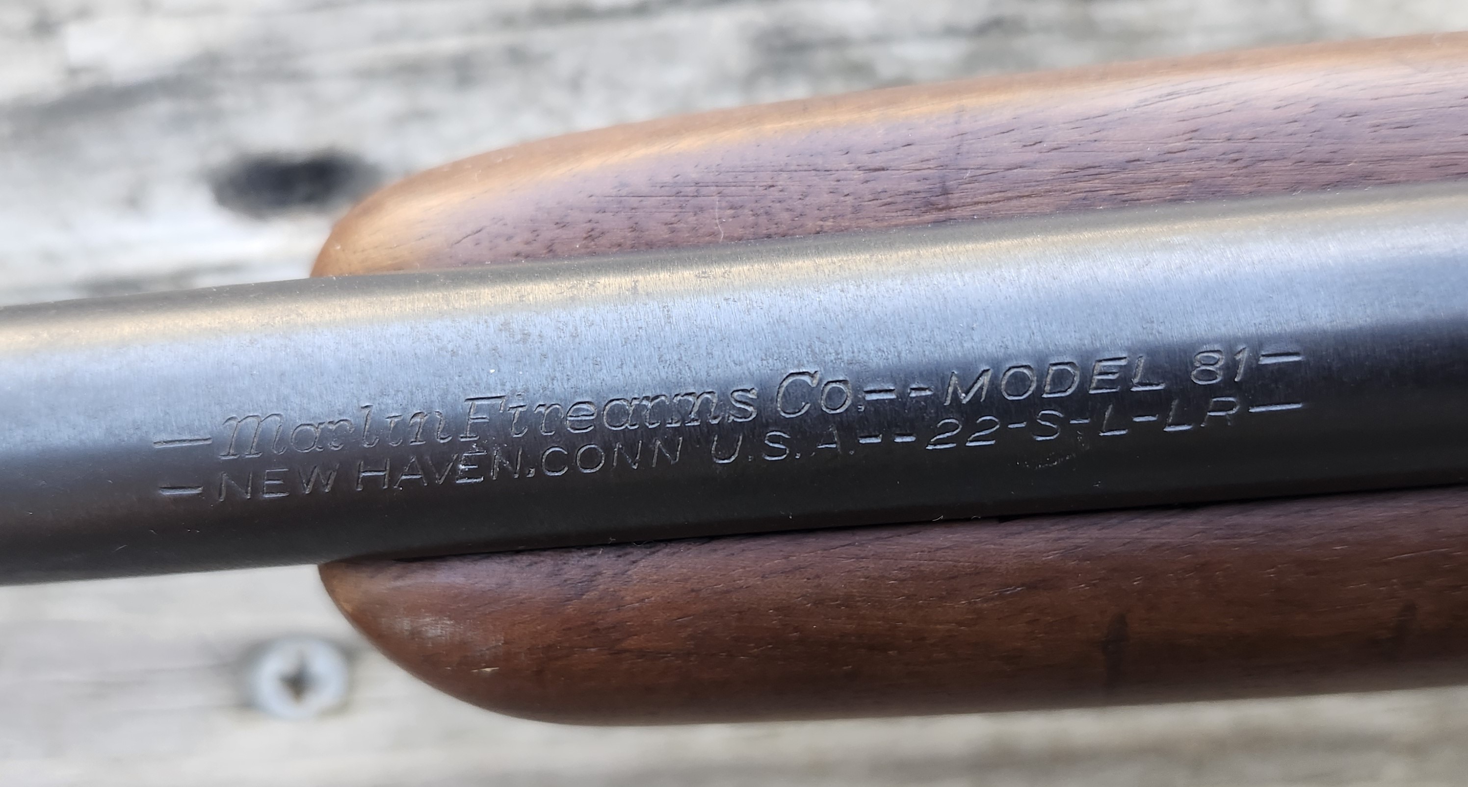 Marlin 6.jpg