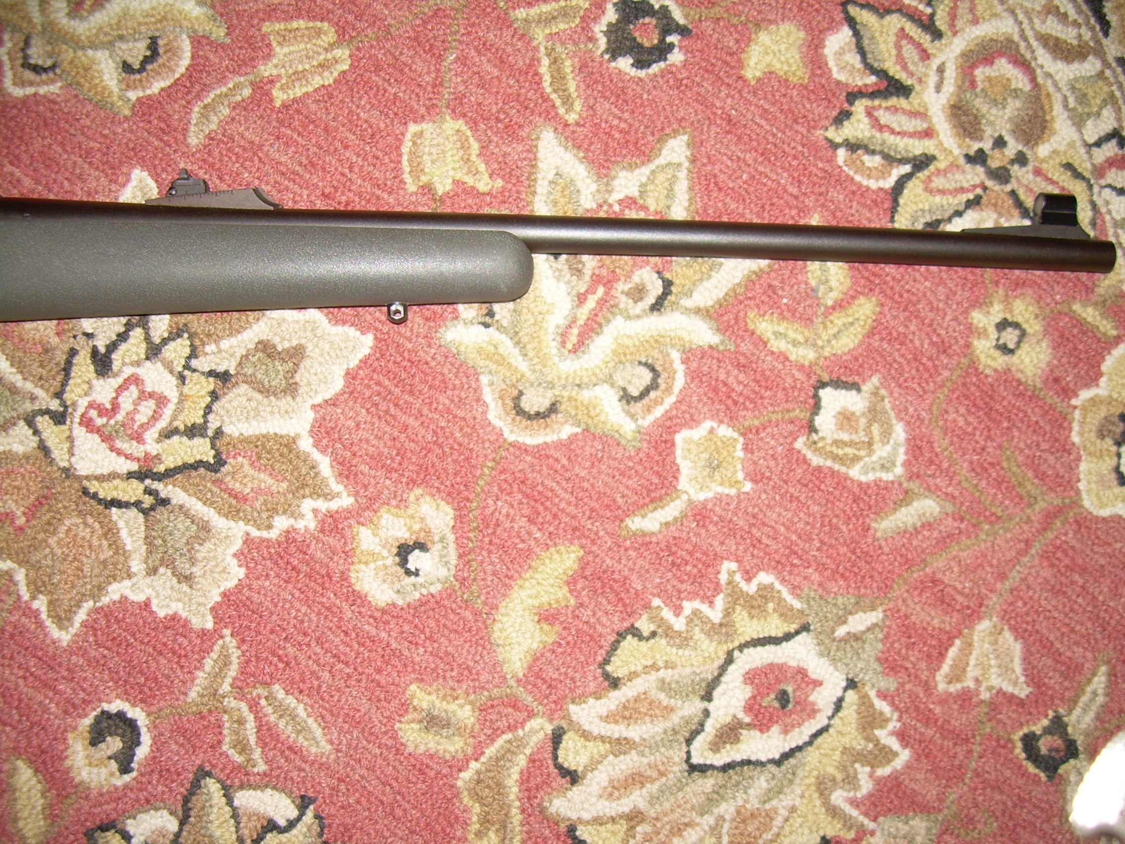 DSCN1179.JPG