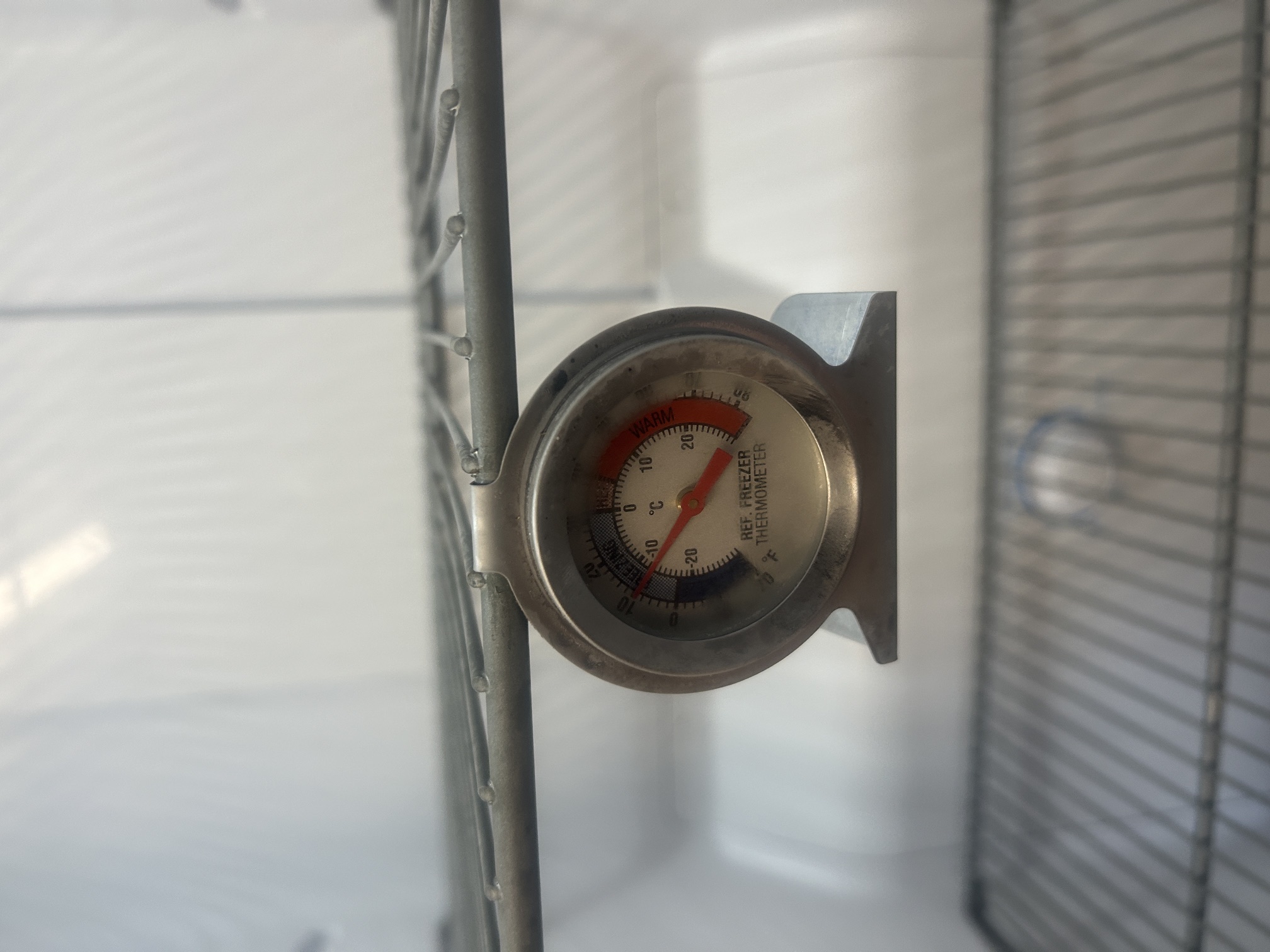 FREEZER 2.jpg